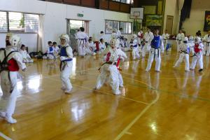 P1500781.jpg