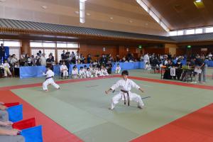 P1500938.jpg