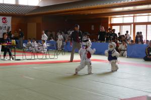 P1500994.jpg