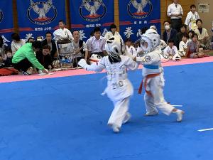 IMG_2582.jpg