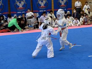 IMG_2583.jpg