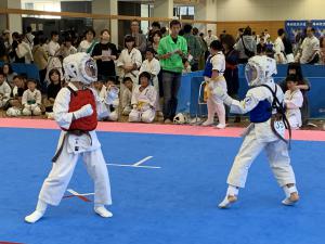 IMG_2593.jpg