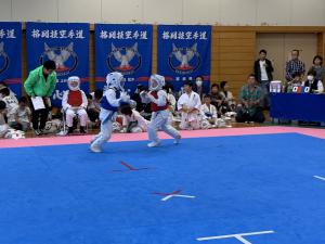 IMG_2633.jpg