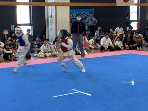 IMG_2640.jpg