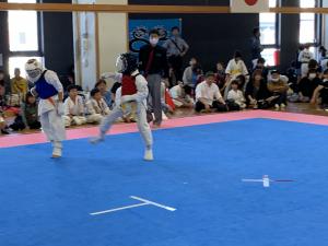 IMG_2641.jpg