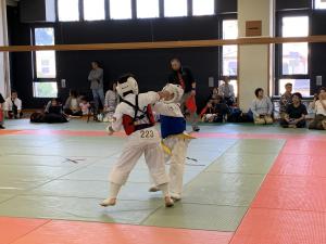 IMG_2649.jpg