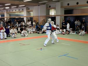 IMG_2653.jpg
