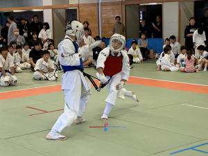 IMG_2655.jpg