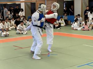 IMG_2656.jpg