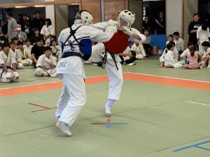 IMG_2657.jpg