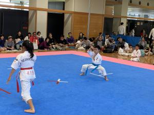 IMG_2683.jpg