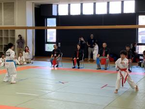 IMG_2705.jpg