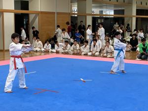 IMG_2706.jpg
