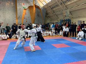 IMG_3346.jpg