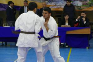 P1520165.jpg
