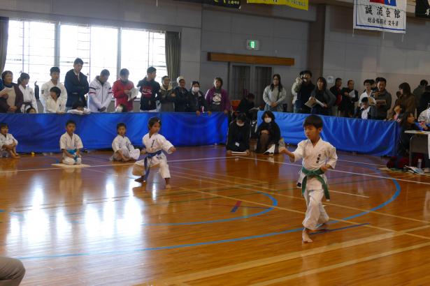P1520412.jpg