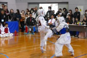 P1520507.jpg
