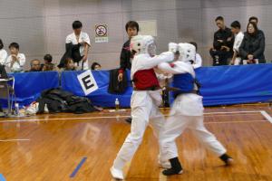 P1520531.jpg