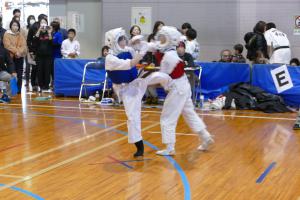 P1520532.jpg