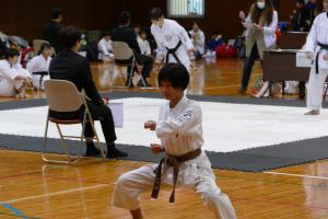 P1520838.jpg