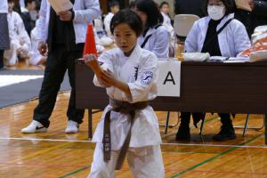 P1520844.jpg