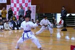 P1520864.jpg