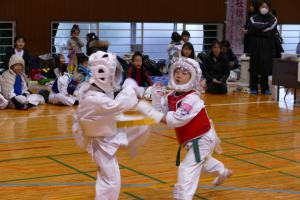 P1520881.jpg
