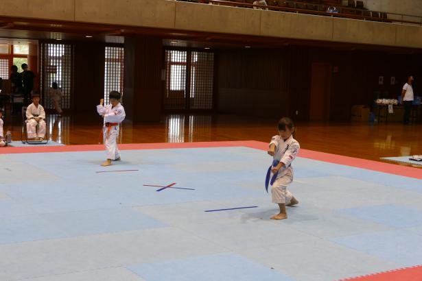 P1540210.jpg