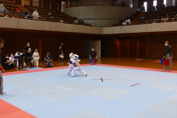 P1540392.jpg