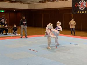 IMG_8926.jpg