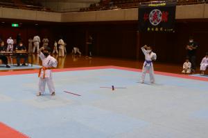 P1540214.jpg
