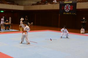 P1540219.jpg