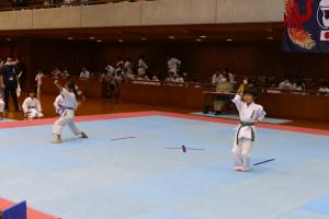 P1540230.jpg
