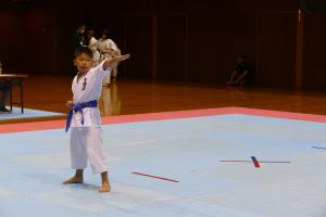 P1540240.jpg