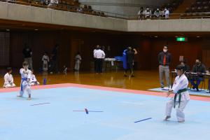 P1540242.jpg