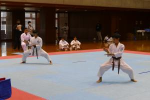 P1540261.jpg