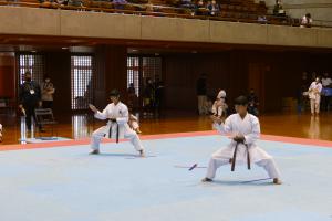 P1540298.jpg