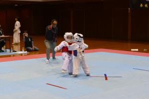 P1540380.jpg
