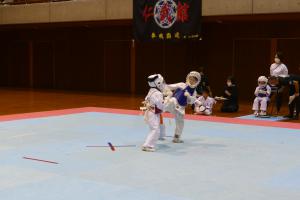 P1540388.jpg