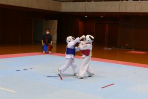 P1540400.jpg