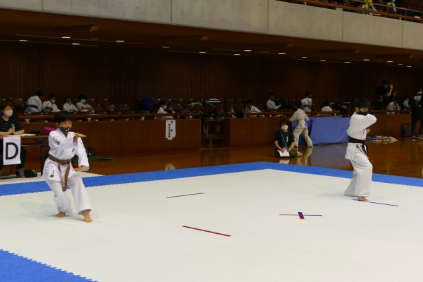 P1550685.jpg