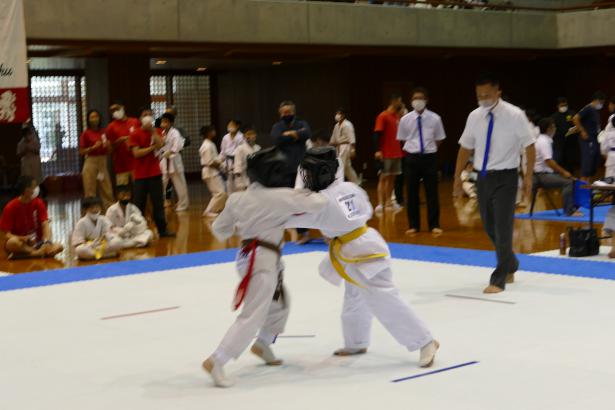 P1550772.jpg
