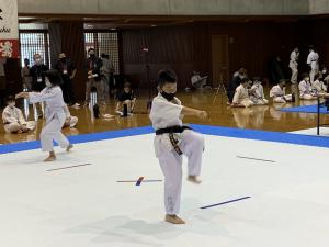 IMG_2452.jpg