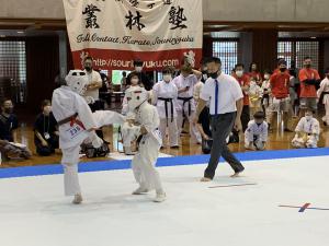 IMG_2523.jpg