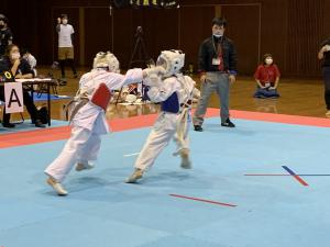 IMG_2535.jpg