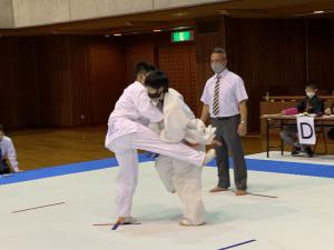 IMG_2593.jpg