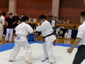 IMG_2596.jpg