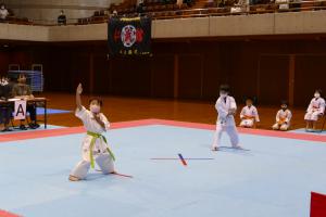 P1550624.jpg