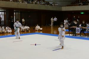 P1550630.jpg