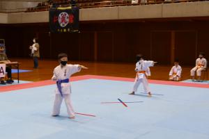 P1550631.jpg